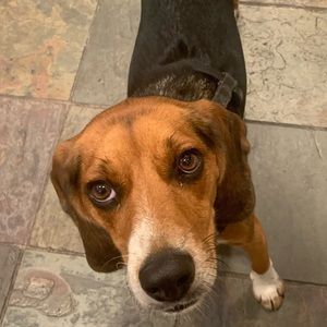 Meet your Posher, John